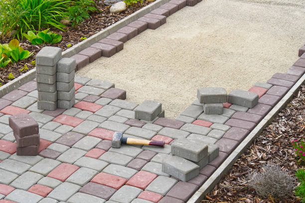 Best Driveway Paving Contractor  in Champlin, MN