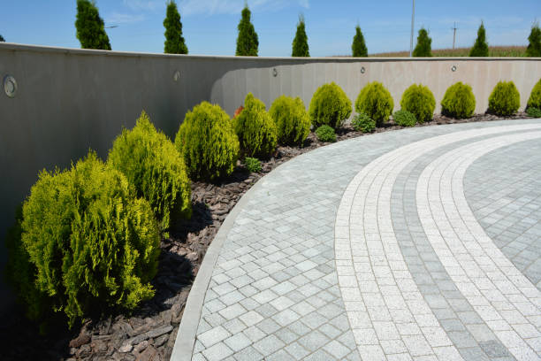 Best Residential Paver Driveway  in Champlin, MN